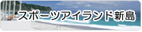 スポーツアイランド新島